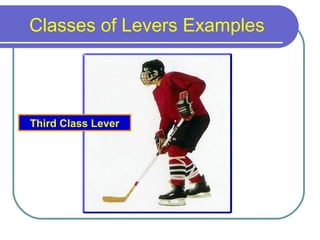 Classes of Levers Examples
Third Class Lever
 