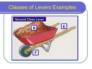Classes of Levers Examples
F
ER
Second Class Lever
 