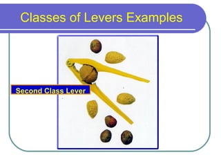 Classes of Levers Examples
Second Class Lever
 