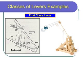 Classes of Levers Examples
First Class Lever
 