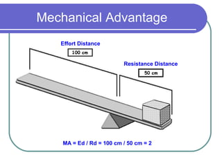 Mechanical Advantage
Effort Distance
Resistance Distance
MA = Ed / Rd = 100 cm / 50 cm = 2
 