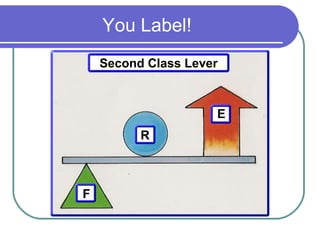 You Label!
R
F
E
Second Class Lever
 