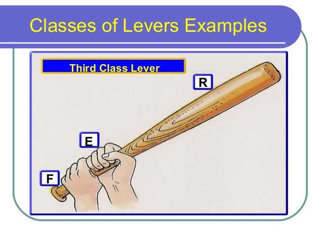 Examples Of Levers Examples Of Levers
