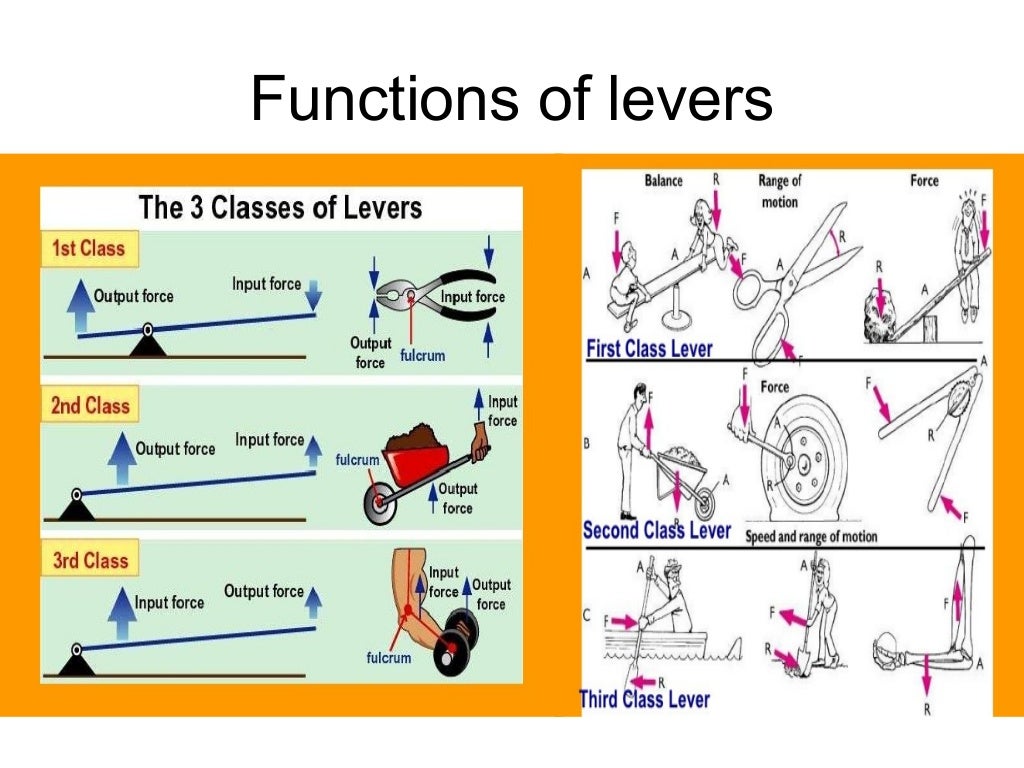 Levers and their classes