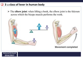  3 rd class of lever in human body
Mohamed M.Elsaied
2016/2017
 The elbow joint: when lifting a book, the elbow joint is the fulcrum
across which the biceps muscle performs the work.
 