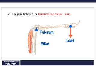 Mohamed M.Elsaied
2016/2017
 The joint between the hummers and radius – ulna .
 