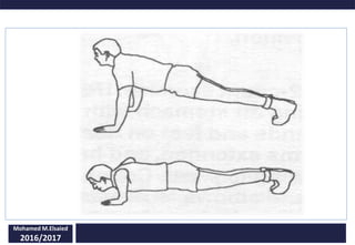 Mohamed M.Elsaied
2016/2017
 