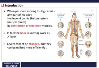 Levers in human body | PPT Levers in human body | PPT