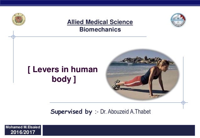 Levers in human body