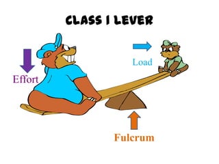 Class 1 Lever


                   Load
Effort




                Fulcrum
 