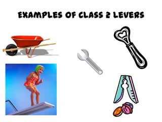 Examples of Class 2 Levers
 