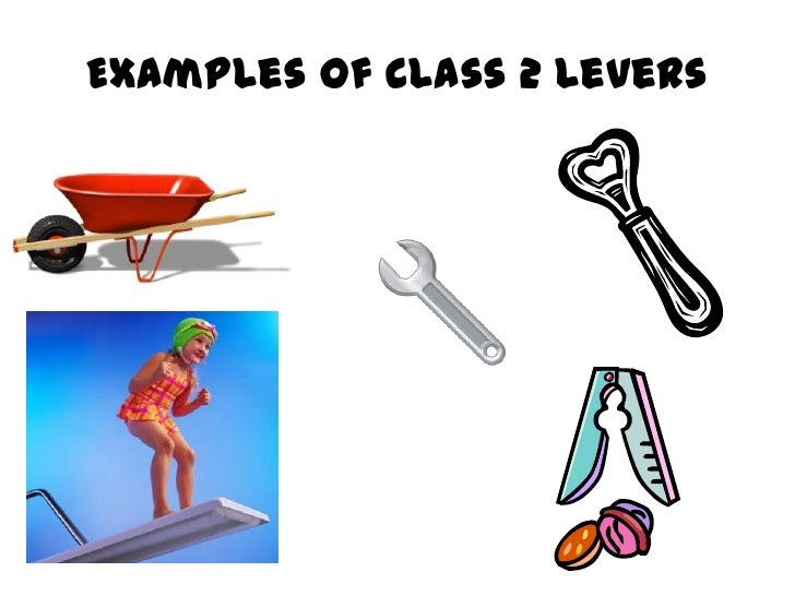 Examples Of Levers Examples Of Levers