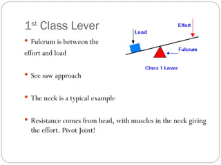 1 st Class Lever Fulcrum is between the effort and load See saw approach The neck is a typical example Resistance comes from head, with muscles in the neck giving the effort. Pivot Joint!