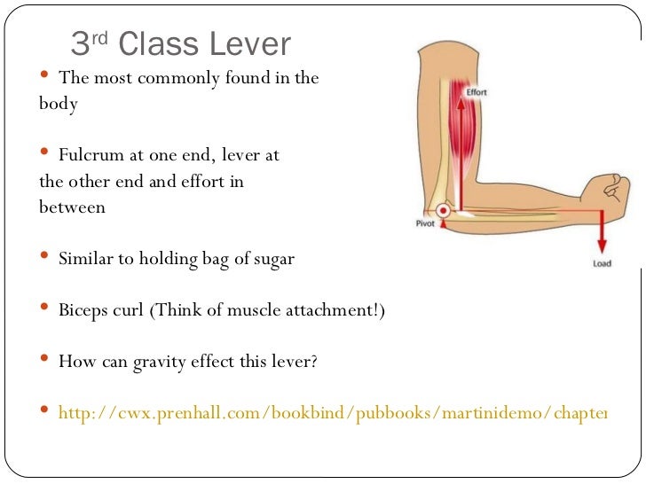 Levers, resistance and exercise