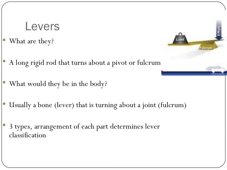 Levers, resistance and exercise