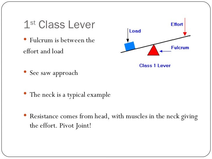 Levers, resistance and exercise