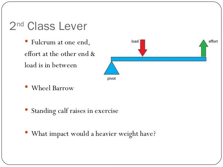 Levers, resistance and exercise