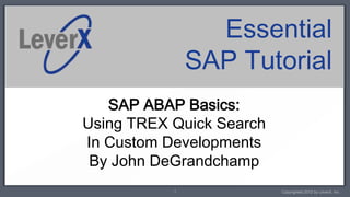 Essential
               SAP Tutorial
   SAP ABAP Basics:
Using TREX Quick Search
In Custom Developments
 By John DeGrandchamp
           1              Copyrighted 2012 by LeverX, Inc.
 