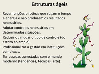 Estruturas ágeis
• Rever funções e rotinas que sugam o tempo
  e energia e não produzem os resultados
  necessários.
• Adotar controles necessários em
  determinadas situações.
• Reduzir ou mudar o tipo de controle (do
  estrito ao amplo).
• Profissionalizar a gestão em instituições
  complexas.
• Ter pessoas conectadas com o mundo
  moderno (tendências, técnicas, arte)
 
