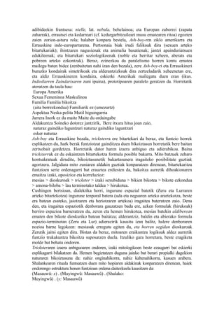adibideekin frantsesa: nielle, lat. nebula, behelainoa; eta Europan zaborrei (zapata
zaharrak), errautsei eta kedarreari (cf. kedargarbitzaileari musu ematearen ritoa) egozten
zaien zorion-asturu rola; halaber konpara bestela, Ash-boy-ren ziklo amerikarra eta
Errauskine indo-europarrarena. Pertsonaia biak irudi falikoak dira (sexuen arteko
bitartekariak); ihintzaren nagusienak eta animalia basatienak; jantzi apainduriatsuen
edukileenak; eta bitartekari soziologikoenak (noble eta herritar xeheen, aberats eta
pobreen arteko ezkontzak). Beraz, ezinezkoa da paralelismo horren kontu ematea
mailegu baten bidez (zenbaitetan nahi izan den bezala), zere Ash-boy-ri eta Errauskineri
buruzko kondairak simetrikoak eta alderantzizkoak dira zertzeladarik xeheenetan ere,
eta aldiz Errauskineren kondaira, eskierki Amerikak mailegatu duen eran (ikus.
Indioilarren Zaindarisaren zuni ipuina), prototipoaren paralelo geratzen da. Horretatik
ateratzen da taula hau:
 Europa Amerika
Sexua Femeninoa Maskulinoa
Familia Familia bikoitza
 (aita berrezkondua) Familiarik ez (umezurtz)
Aspektua Neska polita Mutil higuingarria
Jarrera Inork ez du maite Maite du ordaingabe
Aldakuntza Soineko dotorez jantzirik, Bere itxura hitsa joan zaio,
 naturaz gaindiko laguntzari naturaz gaindiko laguntzari
 esker naturaz
Ash-boy eta Errauskine bezala, tricksterra ere bitartekari da beraz, eta funtzio horrek
esplikatzen du, hark berak funtziotzat gainditzea duen bikoiztasun horretatik bere baitan
zertxobait gordetzea. Horretatik dator haren izaera anbiguo eta adierabikoa. Baina
tricksterrak ez du eskaintzen bitartekotza formula posible bakarra. Mito batzuek zeharo
kontsakratuak dirudite, bikoiztasunetik bakartasunera iragaiteko posibilitate guztiak
agortzera. Jalgidura mito zuniaren aldakin guztiak konparatzen direnean, bitartekaritza
funtzioen serie ordenagarri bat erauztea erdiesten da, bakoitza aurretik dihoakionaren
emaitza izaki, oposizioz eta korrelazioz:
mesias > dioskuroak > trickster > izaki sexubiduna > bikien bikotea > bikote ezkondua
> amona-biloba > lau terminotako taldea > hirukotea.
Cushingen bertsioan, dialektika horri, ingurune espazial batetik (Zeru eta Lurraren
arteko bitartekotza) ingurune tenporal batera (uda eta neguaren arteko arartekotza, beste
era batean esateko, jaiotzaren eta heriotzaren artekoa) iragaitea bateratzen zaio. Dena
den, eta iragaitea espaziotik denborara gauzatzen bada ere, azken formulak (hirukoak)
berriro espazioa barneratzen du, zeren eta hemen hirukotea, mesias batekin aldiberean
ematen den bikote dioskuriko batean baitatza; alderantziz, baldin eta abierako formula
espazio-terminotan (Zeru eta Lur) adierazirik kausitu izan balitz, halere denboraren
nozioa barne legokeen: mesiasak erregutu egiten du, eta horren segidan dioskuroak
Zerutik jaitsi egiten dira. Bistan da beraz, mitoaren eraikuntza logikoak aldez aurretik
funtzio trukakuntza bikoitza suposatzen duela. Itzuliko gara horretara, beste eragiketa
molde bat behatu ondoren.
Tricksteraren izaera anbiguoaren ondoren, izaki mitologikoen beste ezaugarri bat eskierki
esplikagarri bilakatzen da. Hemen begiztatzen duguna jainko bat berari propialki dagokion
naturaren bikoiztasuna da: nahiz onginahikorra, nahiz kaltenahikorra, kasuen arabera.
Shalankoaren rituala funtsatzen duen mito hopiaren aldakinak konparatzen direnean, haiek
ondorengo estruktura honen funtzioan ordena daitezkeela kausitzen da:
(Masauwû: x) . (Muyingwû: Masauwû) . (Shalako:
Muyingwû) . (y: Masauwû)
 