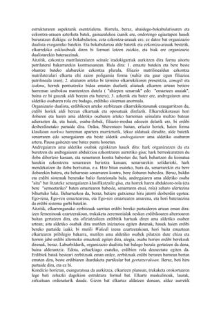 estrukturaren aspekturik esentzialena. Horrela, beraz, ahaidego-bokabularioaren eta
ezkontza-arauen azterketa batek, gainazalekoa izanik ere, ondorengo egiaztapen hauek
bururatzen dizkigu: ez bokabularioa, ezta ezkontza-arauak ere, ez datoz bat organizazio
dualista exogamiko batekin. Eta bokabularioa alde batetik eta ezkontza-arauak bestetik,
elkarrekiko esklusiboak diren bi formari lotzen zaizkie, eta biak ere organizazio
dualistarekin bateraezinak.
Aitzitik, ezkontza matrilateralaren seinale iradokigarriak aurkitzen dira forma aitortu
patrilateral bakarrarekin kontraesanean. Hala dira: 1. emazte batekin eta bere beste
ohantze bateko alabarekin ezkontza plurala, filiazio matrilinealdun ezkontza
matrilateralari elkartu ohi zaion poligamia forma (nahiz eta gaur egun filiazioa
patrilineala izan); 2. aliaturen arteko bi termino elkarrekikoren presentzia, aimapli eta
izakmu, horrek pentsatzeko bidea ematen duelarik aliatuek elkarren artean betiere
harreman unibokoa mantentzen dutela ( "ahizpen senarrak" edo "emazteen anaiak",
baina ez bi gauzak aldi berean eta batera); 3. azkenik eta batez ere, andregaiaren ama
aldetiko osabaren rola ere badago, erdibiko sisteman anormala.
Organizazio dualista, erdibikoen arteko zerbitzuen elkarrekikotasunak ezaugarritzen du,
erdibi horiek aldi berean elkartuak eta oposatuak direlarik. Elkarrekikotasun hori
ilobaren eta haren ama aldetiko osabaren arteko harreman seinalatu multzo batean
adierazten da, eta haiek, osaba-ilobak, filiazio-modua edozein delarik ere, bi erdibi
desberdinetako partaide dira. Ordea, Sherenteen baitan, erlazio horiek, haien forma
klasikoan narkwa harreman apartera murrizturik, lekuz aldatuak dirudite, alde batetik
senarraren edo senargaiaren eta beste aldetik andregaiaren ama aldetiko osabaren
artera. Pausa gaitezen une batez puntu honetan.
Andregaiaren ama aldetiko osabak eginkizun hauek ditu: hark organizatzen du eta
burutzen du andregaiaren abdukzioa ezkontzaren aurretiko gisa; hark berreskuratzen du
iloba dibortzio kasuan, eta senarraren kontra babesten du; hark behartzen du koinatua
harekin ezkontzera senarraren heriotza kasuan; senarrarekin solidarioki, hark
mendekatzen du iloba bortxatua, e.a. Hitz bitan esateko, hura da, senarrarekin eta bere
ilobarekin batera, eta beharrean senarraren kontra, bere ilobaren babeslea. Beraz, baldin
eta erdibi sistemak benetako balio funtzionala balu, andregaiaren ama aldetiko osaba
"aita" bat litzateke senargaiaren klasifikatzaile gisa, eta horrek haren abduktore-rola (eta
bere "semeetariko" baten emaztearen babesle, senarraren etsai, rola) zeharo ulertezina
bihurtuko luke. Beharrezkoa da, beraz, betiere gutxienez hiru jatorri desberdin egotea:
Ego-rena, Ego-ren emaztearena, eta Ego-ren emaztearen amarena, eta hori bateraezina
da erdibi sistema garbi batekin.
Aitzitik, elkarrenganako zerbitzuak sarritan erdibi bereko partaideren artean eman dira:
izen femeninoak ezartzerakoan, trukaketa zeremonialak nesken erdibikoaren alternoaren
baitan gertatzen dira, eta ofiziatzaileen erdibitik hartuak diren ama aldetiko osaben
artean; aita aldetiko osabak dira mutilen iniziazioa egiten dutenak, hauek haien erdibi
bereko partaide izaki; bi mutili Wakedi izena ezartzerakoan, hori baita emazteen
elkartearen pribilegio bakarra, mutilen ama aldetiko osabek pilatzen dute ehiza eta
horren jabe erdibi alternoko emazteak egiten dira, alegia, osaba horien erdibi berekoak
direnak, beraz. Laburbildurik, organizazio dualista bat balego bezala gertatzen da dena,
baina alderantziz. Edota, zehazkiago esateko, erdibien rola deuseztatu egiten da.
Erdibiek batak besteari zerbitzuak eman ordez, zerbitzuak erdibi beraren barnean bertan
ematen dira, beste erdibiaren iharduketa partikular bat gertatzerakoan. Beraz, beti hiru
partaide dira, eta ez bi.
Kondizio horietan, esanguratsua da aurkitzea, elkarteen planoan, trukaketa orokortuaren
lege bati zehazki dagokion estruktura formal bat. Elkarte maskulinoak, laurak,
zirkuituan ordenaturik daude. Gizon bat elkartez aldatzen denean, aldez aurretik
 