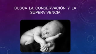 BUSCA LA CONSERVACIÓN Y LA
SUPERVIVENCIA
 