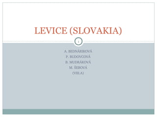 LEVICE (SLOVAKIA)
            1

     A. BEDNÁRIKOVÁ
      P. BUDOVCOVÁ
      B. MUDRÁKOVÁ
       M. ŠEBOVÁ
         (VIII.A)
 