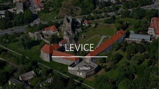 LEVICE
Matúš Selieni
7.A
 