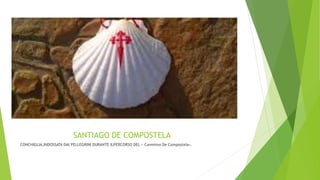 SANTIAGO DE COMPOSTELA
CONCHIGLIA,INDOSSATA DAI PELLEGRINI DURANTE ILPERCORSO DEL « Cammino De Compostela».
 