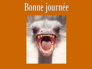 Bonne journée 