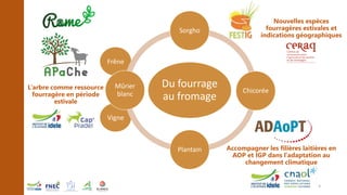 Vigne
Frêne
Accompagner les filières laitières en
AOP et IGP dans l’adaptation au
changement climatique
L’arbre comme ress...