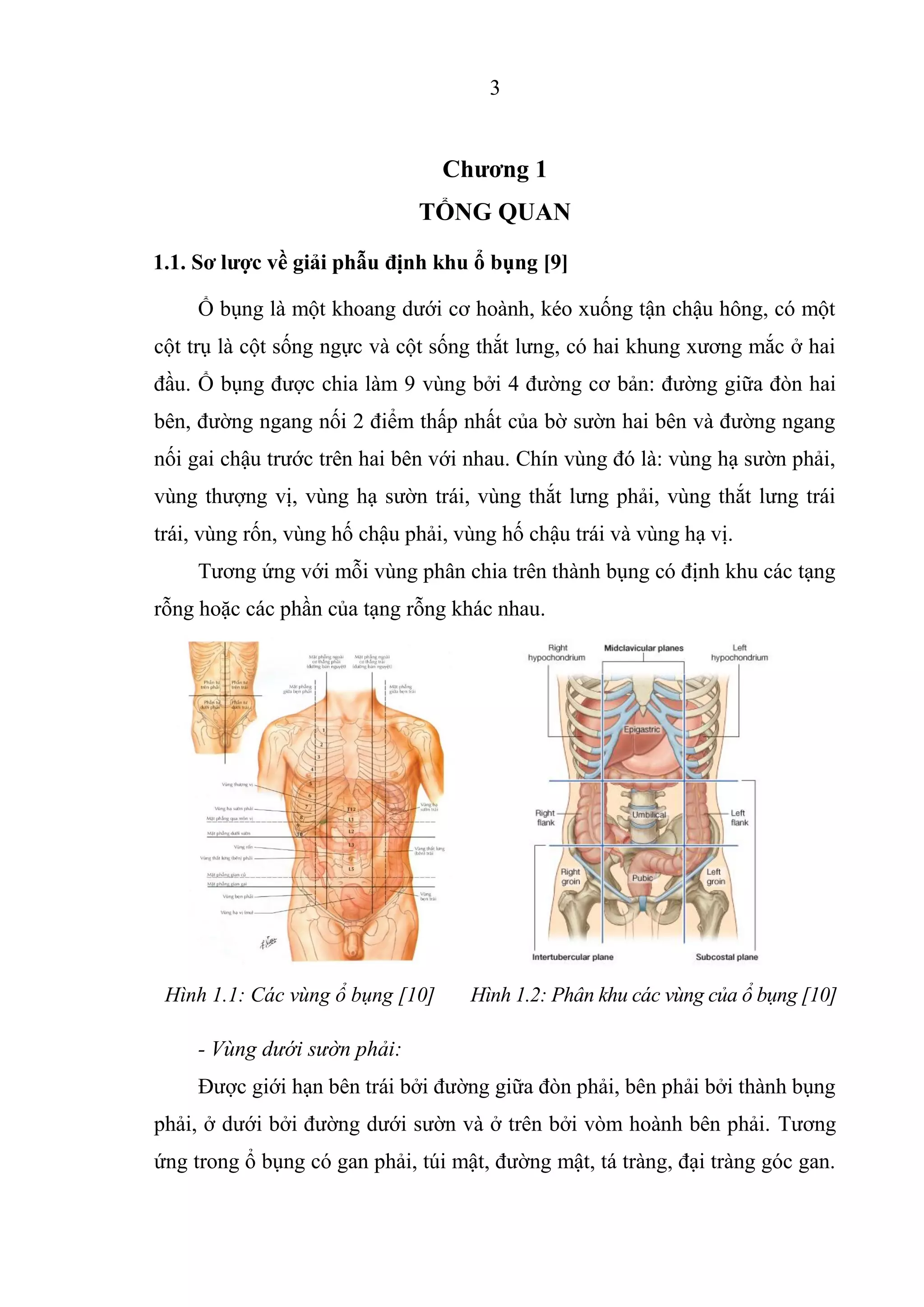 Luận án: Điều trị các tổn thương tạng rỗng bằng phẫu thuật nội soi | PDF