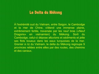 À l'extrémité sud du Vietnam, entre Saigon, le Cambodge et la mer de Chine, s'étend une immense plaine, extrêmement fertile, traversée par les neuf bras («Neuf Dragons» en vietnamien) du Mékong. Sorti du Cambodge, celui-ci dépose alluvions et sédiments et jette ses flots boueux dans les eaux turquoises de la mer. Grenier à riz du Vietnam, le delta du Mékong regroupe 9 provinces reliées entre elles par des routes, des chemins et des canaux .  Le Delta du Mékong 
