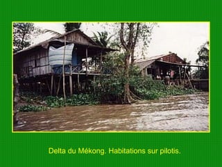 Delta du Mékong. Habitations sur pilotis. 