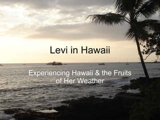 Levi in Hawaii Experiencing Hawaii & the Fruits of Her Weather 
