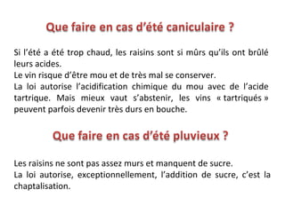 Si l’été a été trop chaud, les raisins sont si mûrs qu’ils ont brûlé
leurs acides.
Le vin risque d’être mou et de très mal se conserver.
La loi autorise l’acidification chimique du mou avec de l’acide
tartrique. Mais mieux vaut s’abstenir, les vins « tartriqués »
peuvent parfois devenir très durs en bouche.




Les raisins ne sont pas assez murs et manquent de sucre.
La loi autorise, exceptionnellement, l’addition de sucre, c’est la
chaptalisation.
 