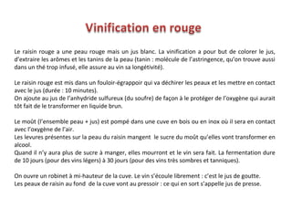 Le raisin rouge a une peau rouge mais un jus blanc. La vinification a pour but de colorer le jus,
d’extraire les arômes et les tanins de la peau (tanin : molécule de l’astringence, qu’on trouve aussi
dans un thé trop infusé, elle assure au vin sa longétivité).

Le raisin rouge est mis dans un fouloir-égrappoir qui va déchirer les peaux et les mettre en contact
avec le jus (durée : 10 minutes).
On ajoute au jus de l’anhydride sulfureux (du soufre) de façon à le protéger de l’oxygène qui aurait
tôt fait de le transformer en liquide brun.

Le moût (l’ensemble peau + jus) est pompé dans une cuve en bois ou en inox où il sera en contact
avec l’oxygène de l’air.
Les levures présentes sur la peau du raisin mangent le sucre du moût qu’elles vont transformer en
alcool.
Quand il n’y aura plus de sucre à manger, elles mourront et le vin sera fait. La fermentation dure
de 10 jours (pour des vins légers) à 30 jours (pour des vins très sombres et tanniques).

On ouvre un robinet à mi-hauteur de la cuve. Le vin s’écoule librement : c’est le jus de goutte.
Les peaux de raisin au fond de la cuve vont au pressoir : ce qui en sort s’appelle jus de presse.
 
