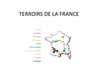 TERROIRS DE LA FRANCE 