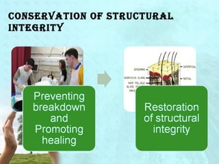 Conservation of struCtural 
integrity 
 