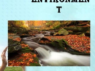 environmen 
t 
 