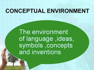 CONCEPTUAL ENVIRONMENT 
 