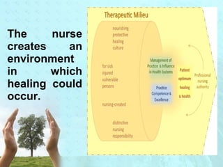 The nurse 
creates an 
environment 
in which 
healing could 
occur. 
 