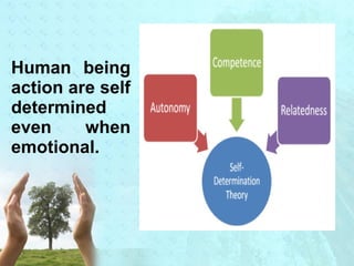 Human being 
action are self 
determined 
even when 
emotional. 
 