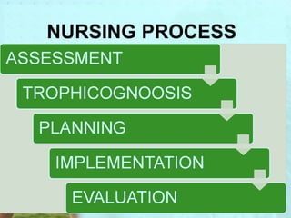 NURSING PROCESS 
 