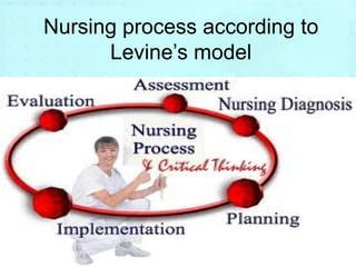 Nursing process according to 
Levine’s model 
 