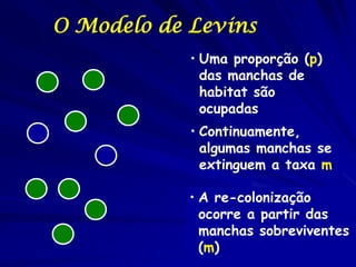O Modelo de Levins
            • Uma proporção (p)
              das manchas de
              habitat são
              oc...