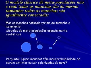 O modelo clássico de meta-populações não
e real: todas as manchas são do mesmo
tamanho; todas as manchas são
igualmente co...