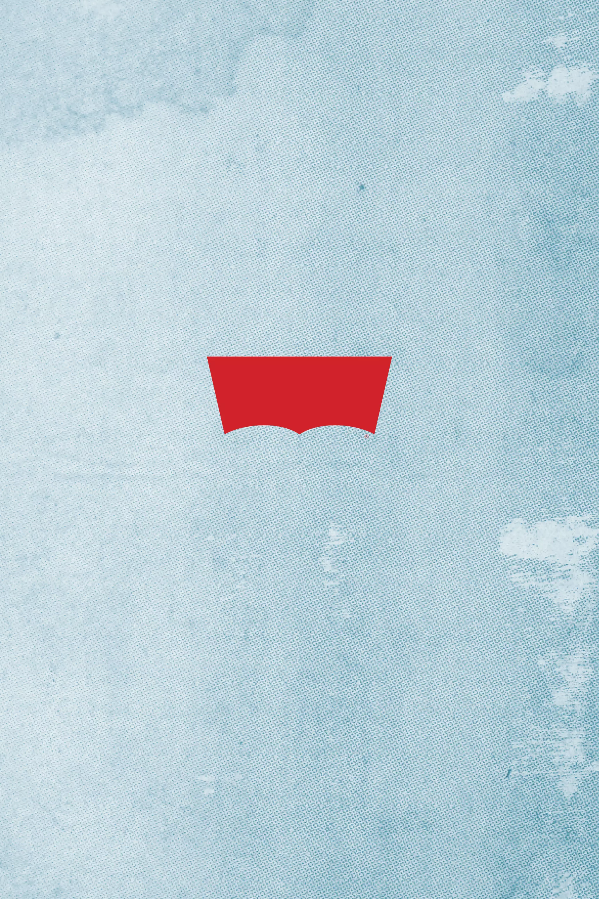 Levi's brand book | PDF