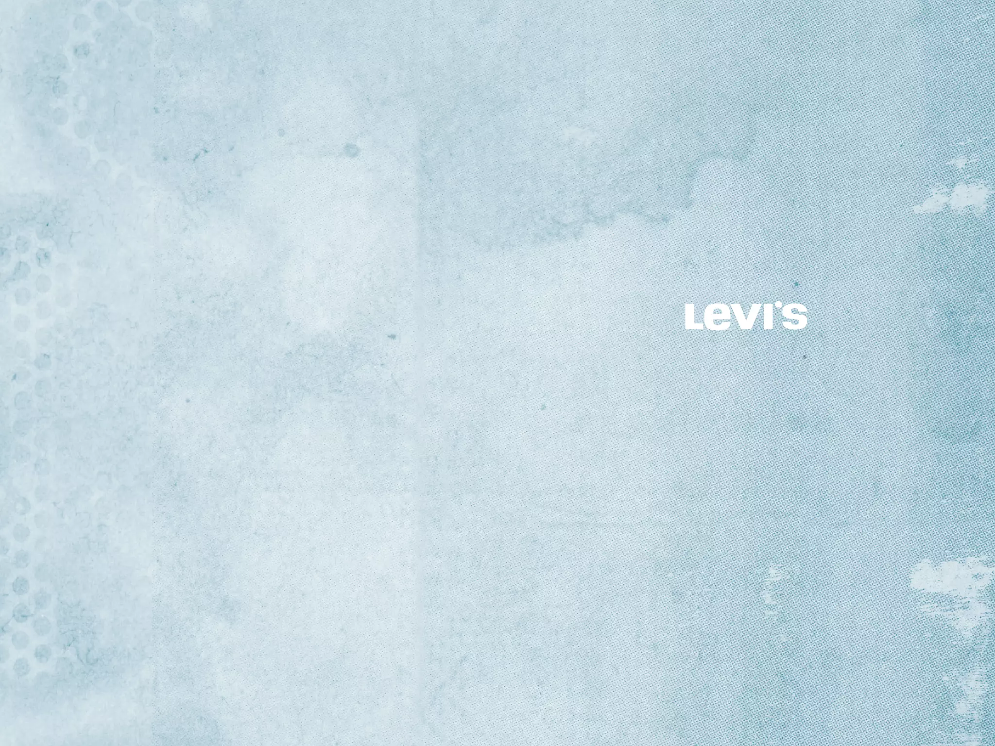 Levi's brand book