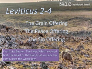 Leviticus 2-4
The Grain Offering
The Peace Offering
The Sin Offering
Firstfruits Beaten, The Liver, Which evolved
first, the heart or the blood, fat, outside the
camp, keep the whole law
 